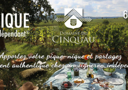 picnic cinquau 2022