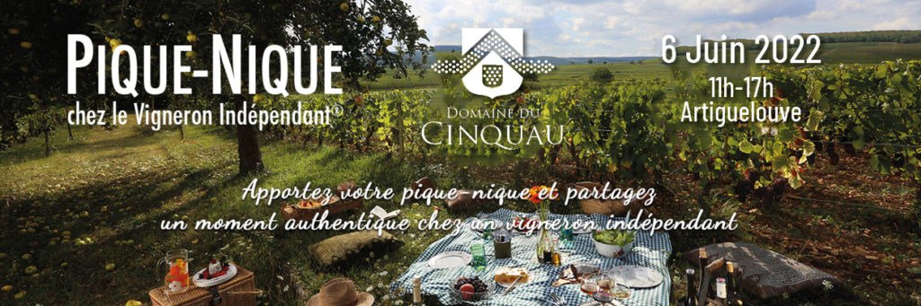 picnic cinquau 2022