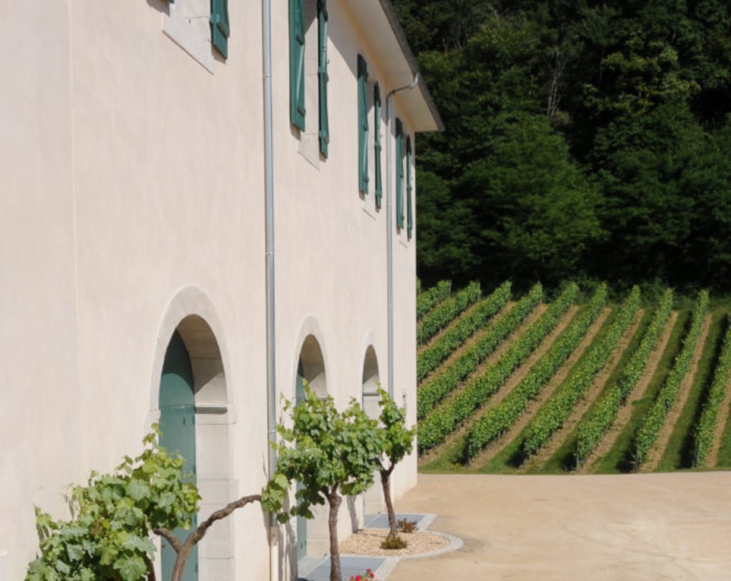 Environnement du Domaine du Cinquau dans le Jurançon