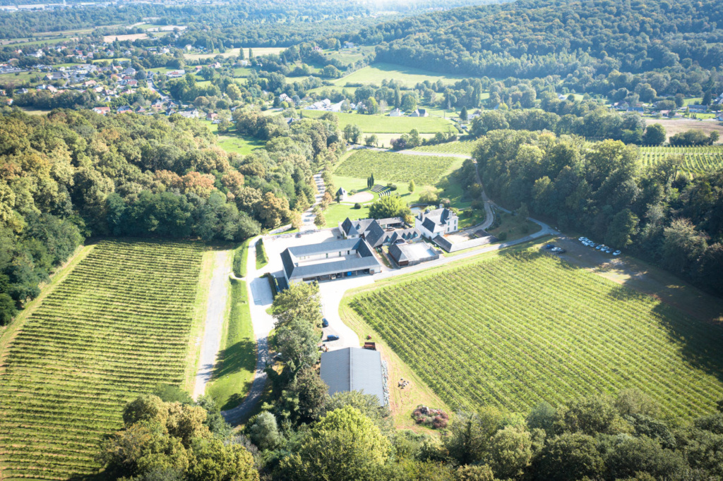 Domaine du Cinquau