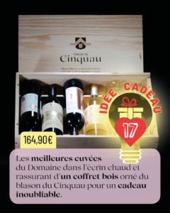 idees cadeaux decembre 2025 000017 1