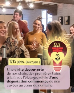 idees cadeaux decembre 2025 00003 1