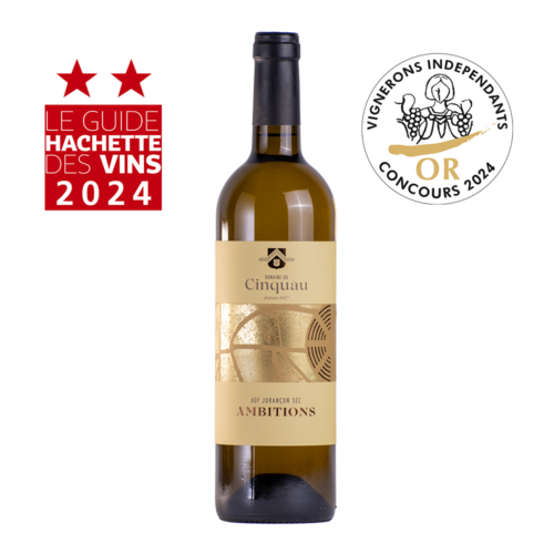 Ambitions_2021 Ambitions 2021