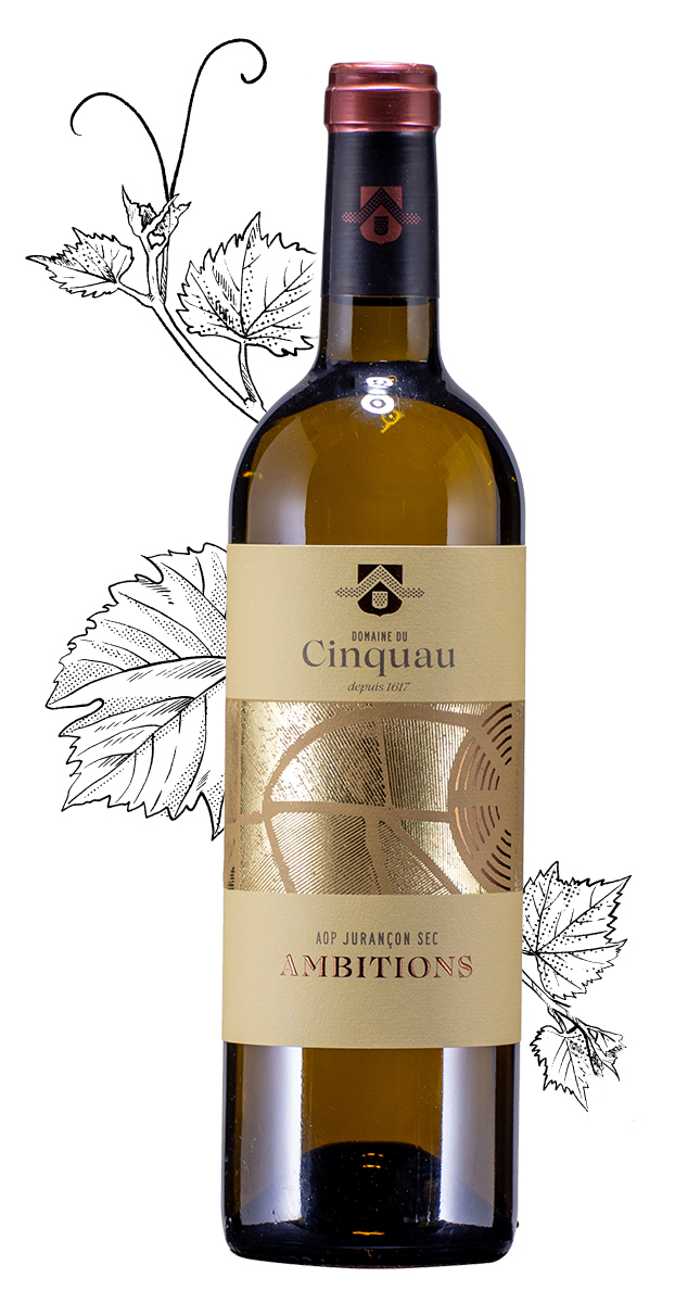 bouteille cepages cinquau 2